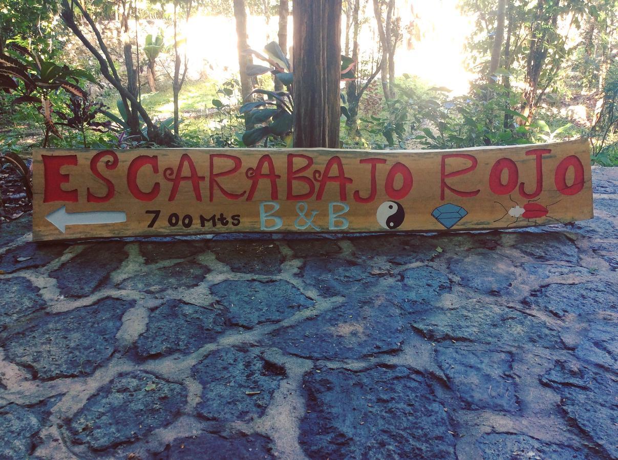 Escarabajo Rojo Bed & Breakfast Тулум Екстериор снимка